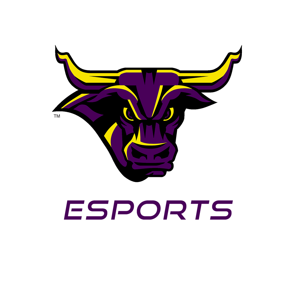 Purple-Esports-Icon.jpg